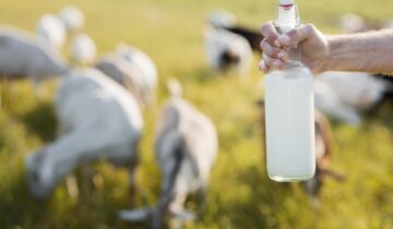 Susu Kambing dan Manfaatnya bagi Kesehatan